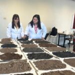 Analiza estudiante de la UAT la presencia de metales pesados en suelos de cultivo citrícola