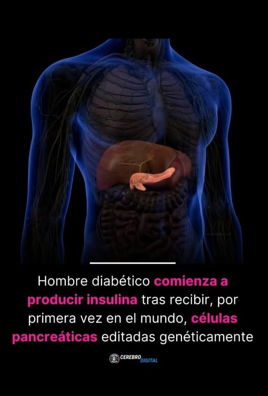 541835402_1254355783157325_6679655746673857127_n