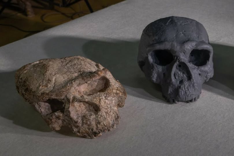 557616636_767704642753025_3516525721031626151_n