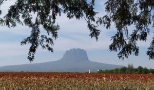 STU-140-2025.-Analiza-Tamaulipas-estrategias-para-fortalecer-el-turismo-en-comunidades-rurales-2-850x500