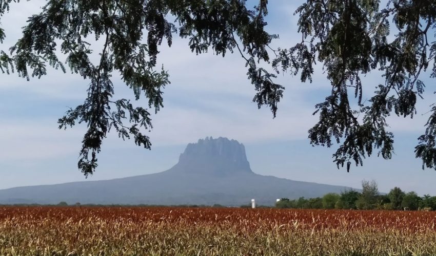 STU-140-2025.-Analiza-Tamaulipas-estrategias-para-fortalecer-el-turismo-en-comunidades-rurales-2-850x500