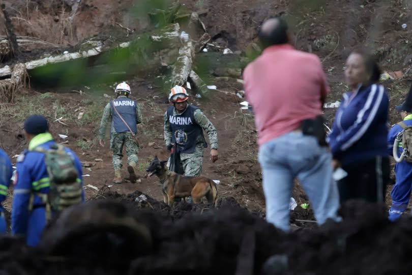 565170744_1290121106247459_358771859454687709_n