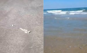 565688267_122276309138031697_415097489820229962_n