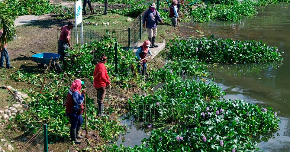 Destina-Madero-recursos-para-limpieza-de-lagunas-y-registra-record-en-obra-publica