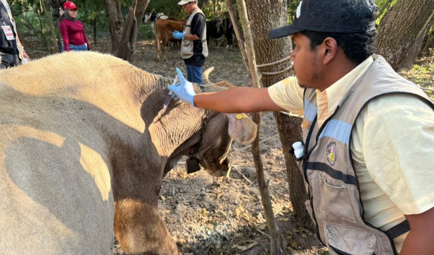 SRU-188-2025.-Accion-inmediata-y-coordinacion-interinstitucional-ante-caso-de-GBG-en-Tamaulipas-3-850x500